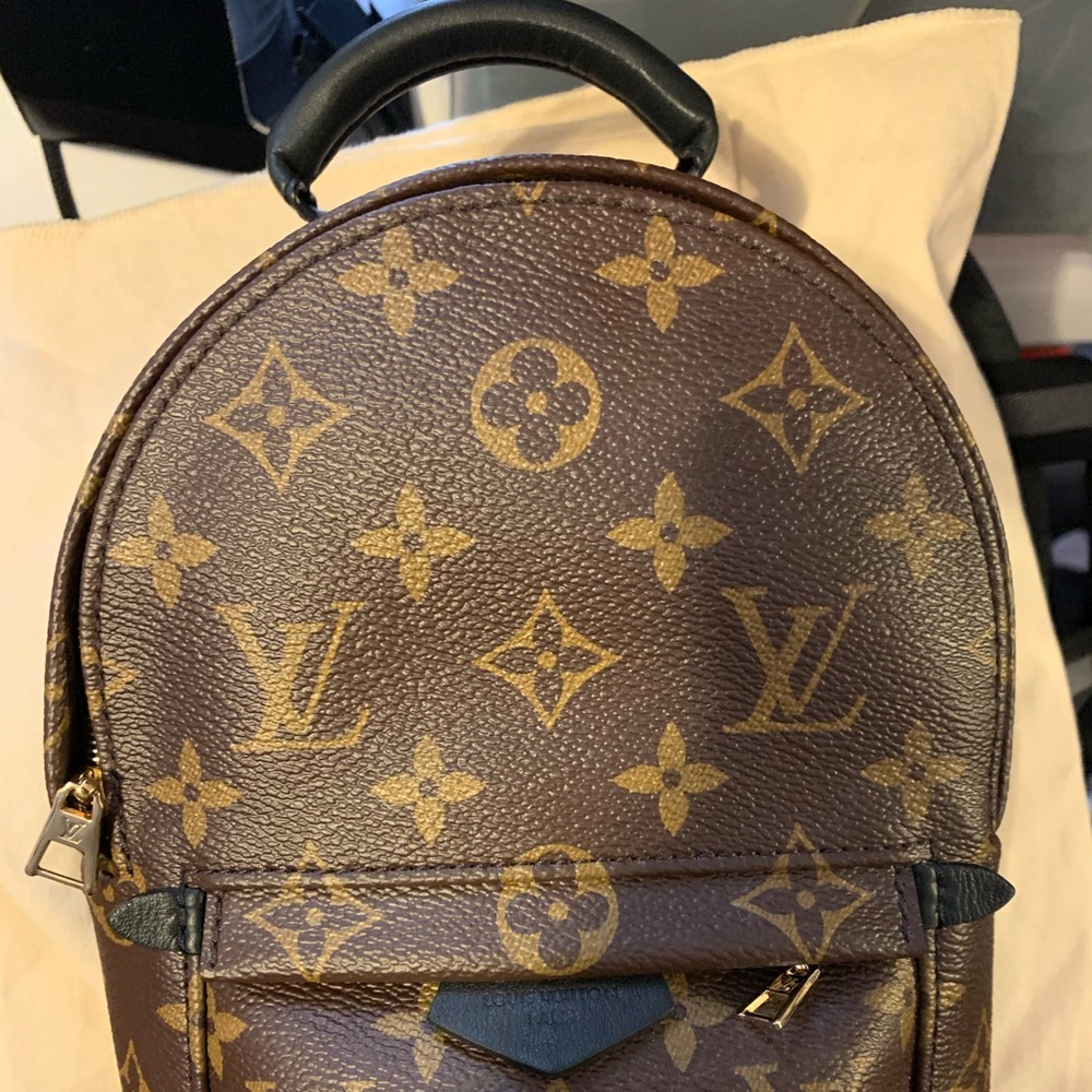 Brand new Louis Vuitton palms spring backpack